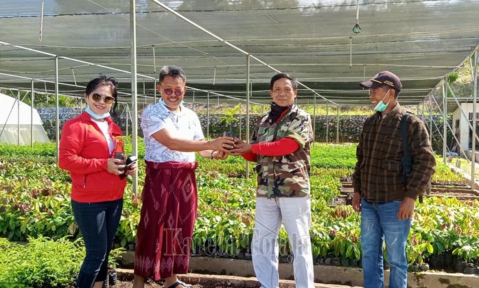 Tak Hanya Bicara, Anggota Dewan Ini Fasilitas Pengadaan Bibit Pohon untuk SMAN 12 Tana Toraja