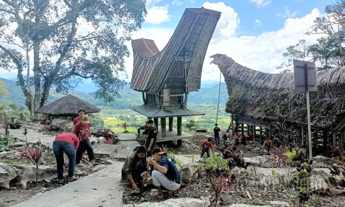 Pemuda Gasing Tanam Ratusan Pohon Ketapang dan Pucuk Merah di Objek Wisata Tongkonan Sassa’