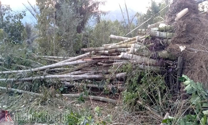 Satu Rumpun Bambu Tumbang dan Halangi Akses Jalan Langso-Tampapute