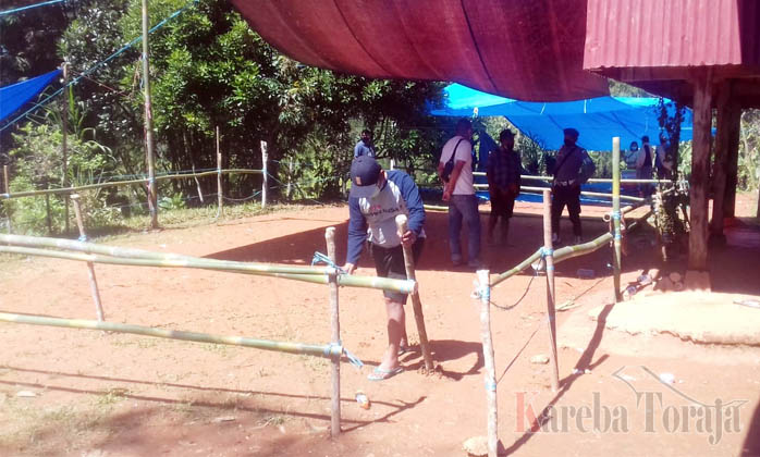 Polisi Bongkar Arena Judi Sabung Ayam di Makale Utara
