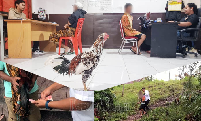 Selain 2 Orang Tua, Polisi Juga Amankan Ayam Buri’, Sella’, dan Koro
