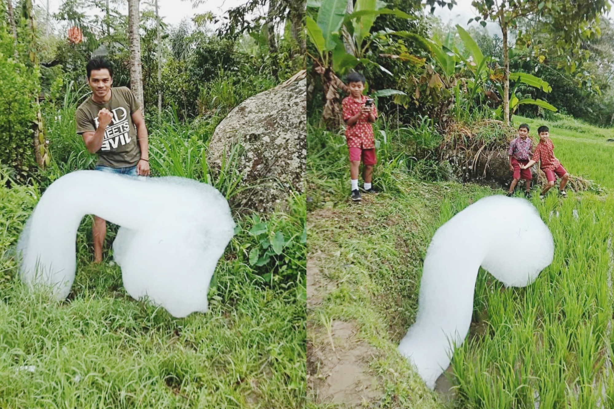 Fenomena Aneh Busa Raksasa Gegerkan Warga Mengkendek, Tana Toraja