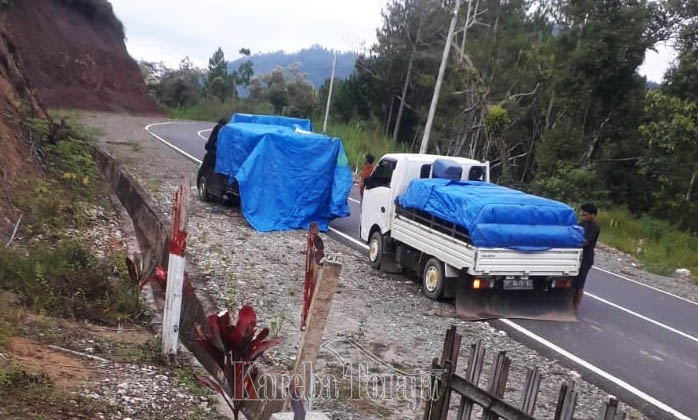 Tiga Mobil Bermuatan 60 Ekor Babi Dilarang Masuk Toraja Utara