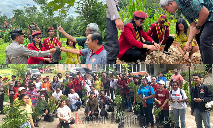 Peserta Rakernas XI PMKRI Gelar Aksi Penanaman Pohon di Sangalla’, Tana Toraja