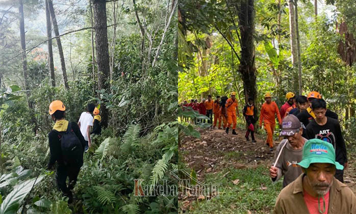 Sepekan Menghilang, Tim SAR dan KPA ART Cari Ambe’ Lopo’ di Hutan Sarapeang