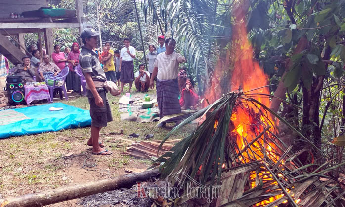 Selain Hukum Positif, Warga Madandan yang Cabuli Anak Tirinya Juga Disanksi Secara Adat