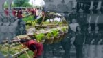 Mahasiswa KKN-T UKI Toraja di Kelurahan Ariang Perkenalkan Bongkol Pisang sebagai Bahan Utama Pembuatan Pupuk Organik Cair (POC)